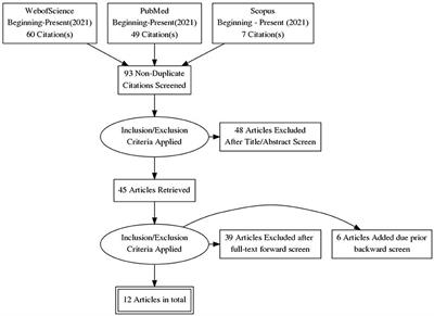 Citizen Consultation on Problematic Usage of the Internet: Ethical Considerations and Empirical Insights From Six Countries